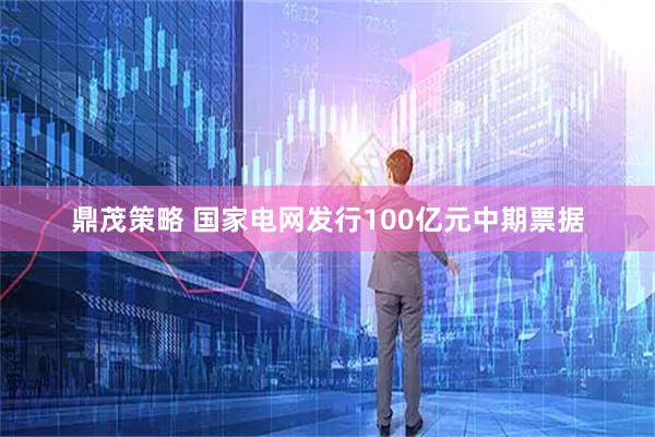 鼎茂策略 国家电网发行100亿元中期票据