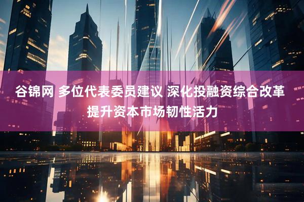 谷锦网 多位代表委员建议 深化投融资综合改革 提升资本市场韧性活力