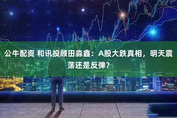 公牛配资 和讯投顾田淼鑫：A股大跌真相，明天震荡还是反弹？