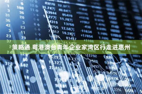 策略通 粤港澳台青年企业家湾区行走进惠州