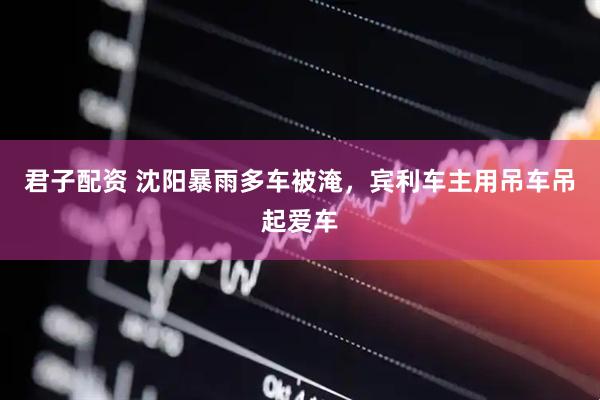 君子配资 沈阳暴雨多车被淹,宾利车主用吊车吊起爱车
