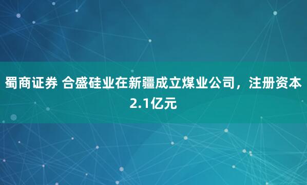 蜀商证券 合盛硅业在新疆成立煤业公司，注册资本2.1亿元