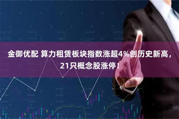 金御优配 算力租赁板块指数涨超4%创历史新高，21只概念股涨停！