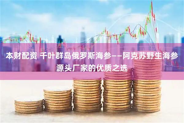 本财配资 千叶群岛俄罗斯海参——阿克苏野生海参源头厂家的优质之选