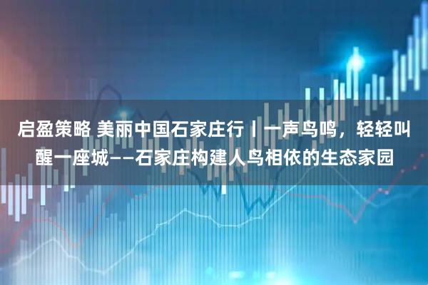 启盈策略 美丽中国石家庄行丨一声鸟鸣，轻轻叫醒一座城——石家庄构建人鸟相依的生态家园